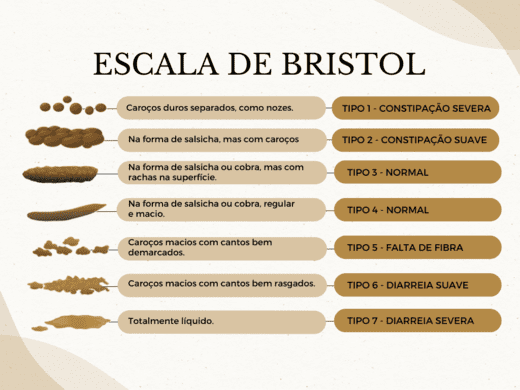Escala-de-Bristol-8.png