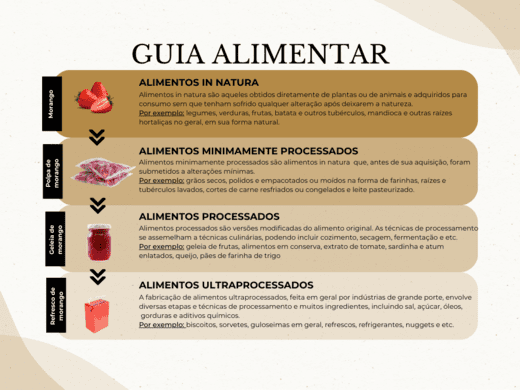 Guia-Alimentar-6.png